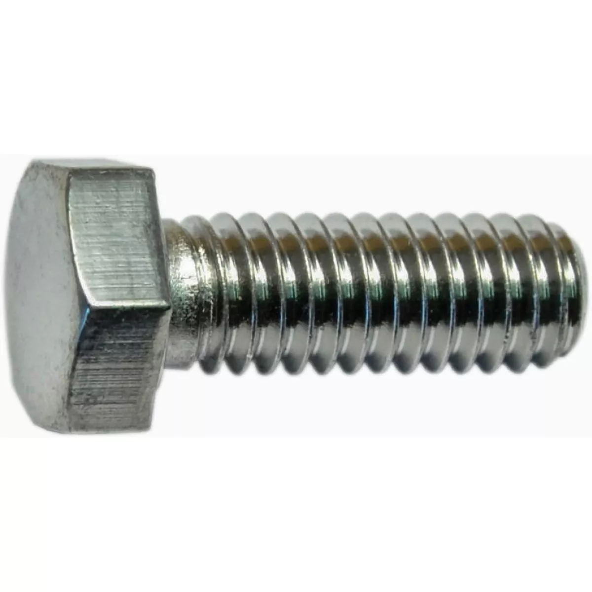 Midwest Fastener 5/16 In.-18 x 7/8 In. Polished 18-8 Stainless Steel Coarse Thread Hex Cap Screws (8 Ct.)