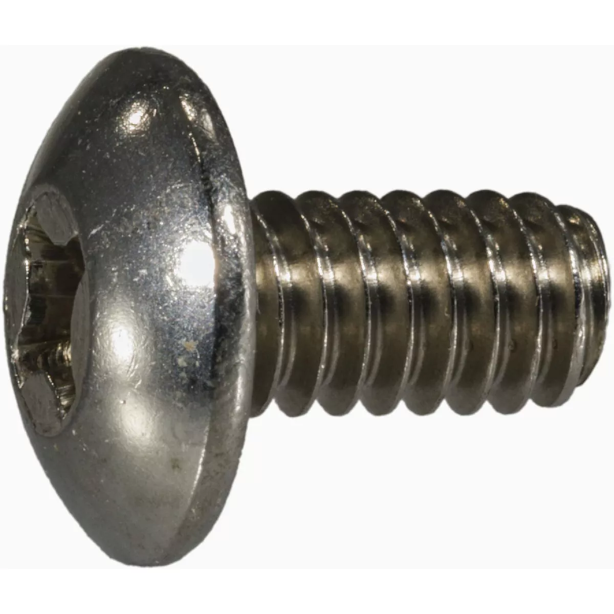 Midwest Fastener 1/4 In.-20 x 1/2 In. 18-8 Stainless Steel Coarse Thread Phillips Truss Head Machine Screws (10 Ct.)