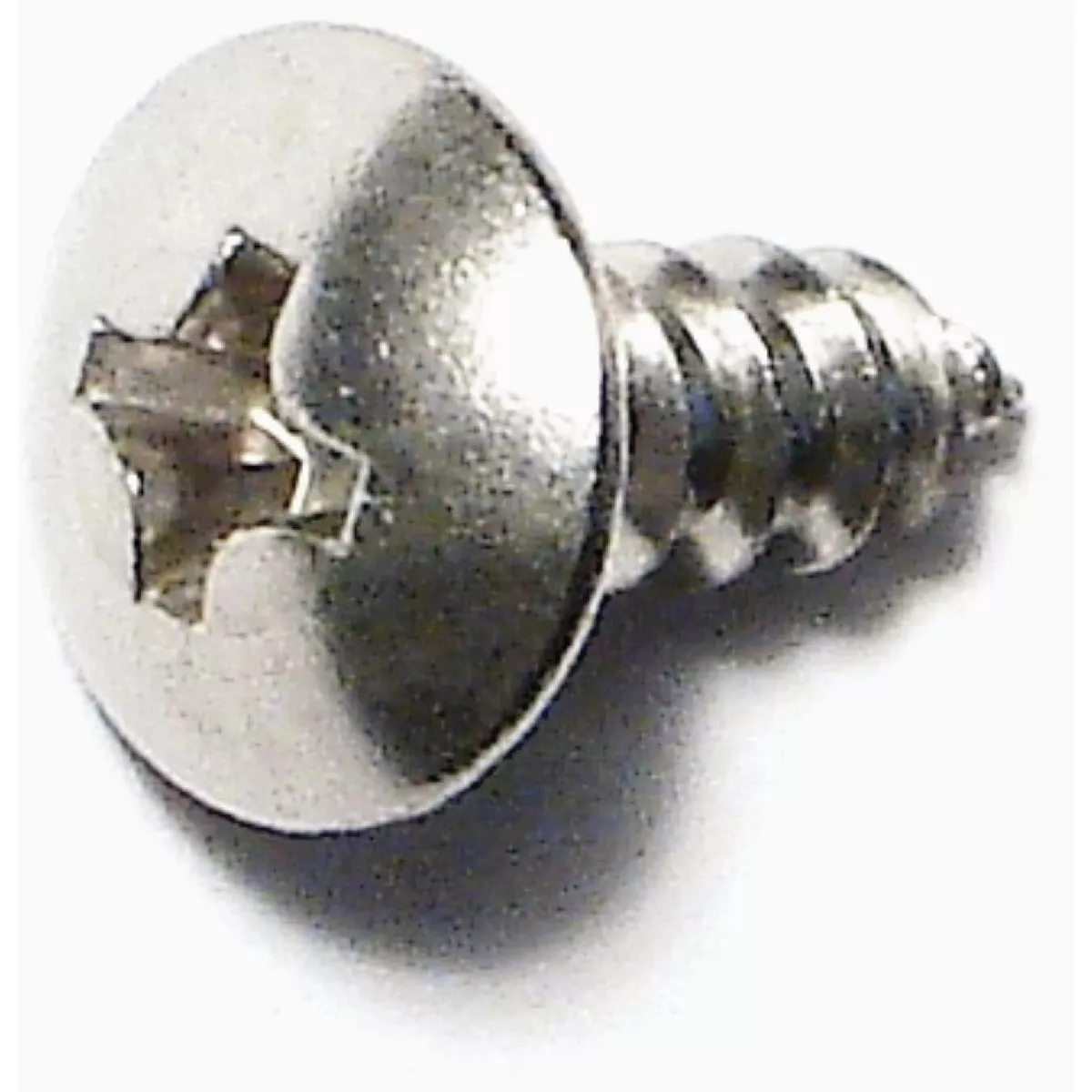 Midwest Fastener #6 x 3/8 In. 18-8 Stainless Steel Phillips Truss Head Sheet Metal Screws (50 Ct.)