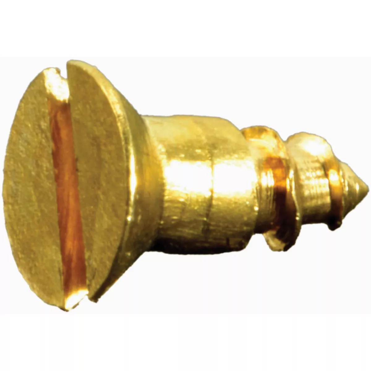 Midwest Fastener #3 x 1/4 In. Brass Slotted Flat Head Wood Screws (30 Ct.)