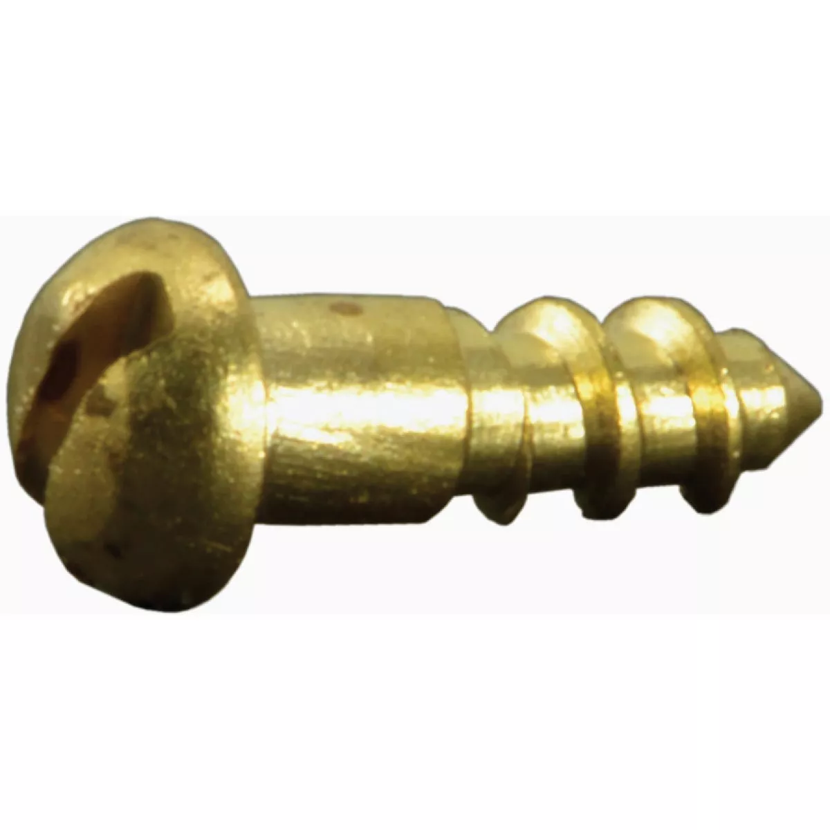 Midwest Fastener #1 x 1/4 In. Brass Slotted Round Head Wood Screws