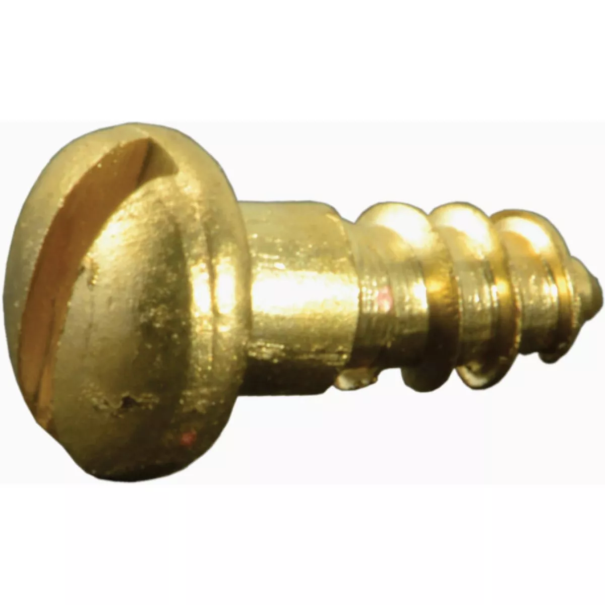 Midwest Fastener #3 x 1/4 In. Brass Slotted Round Head Wood Screws (30 Ct.)- - photo 2