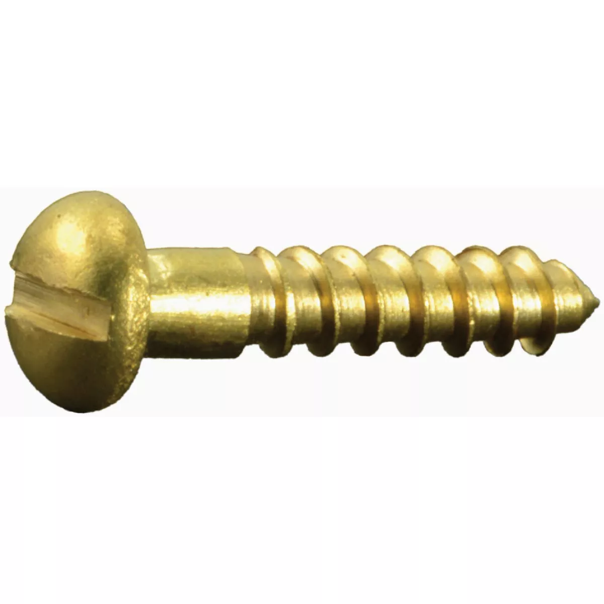Midwest Fastener #3 x 1/2 In. Brass Slotted Round Head Wood Screws (25 Ct.)
