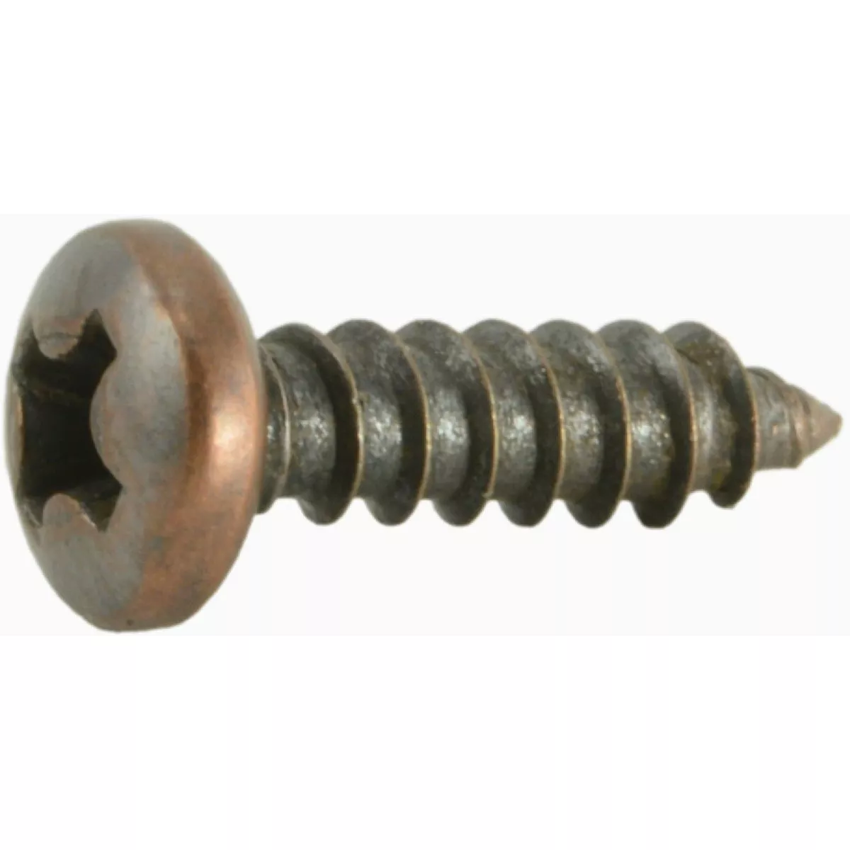 Midwest Fastener #6 x 1/2 In. Venetian Bronze Plated Steel Phillips Pan Head Sheet Metal Screws (50 Ct.)