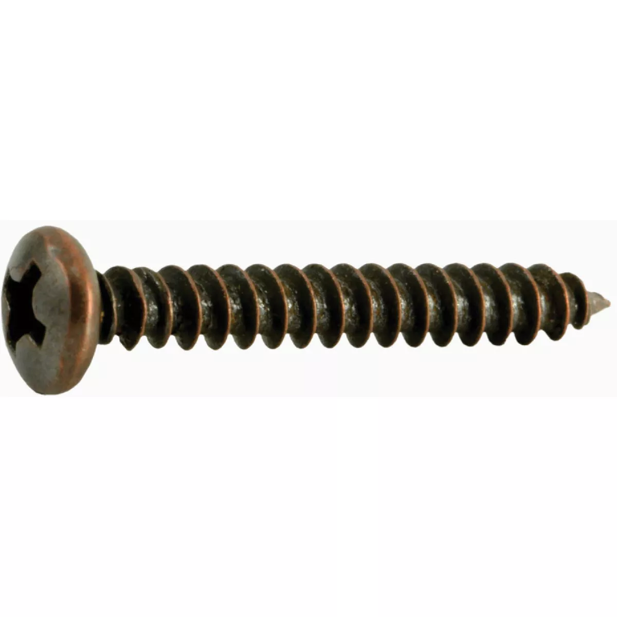 Midwest Fastener #6 x 1 In. Venetian Bronze Plated Steel Phillips Pan Head Sheet Metal Screws (40 Ct.)-