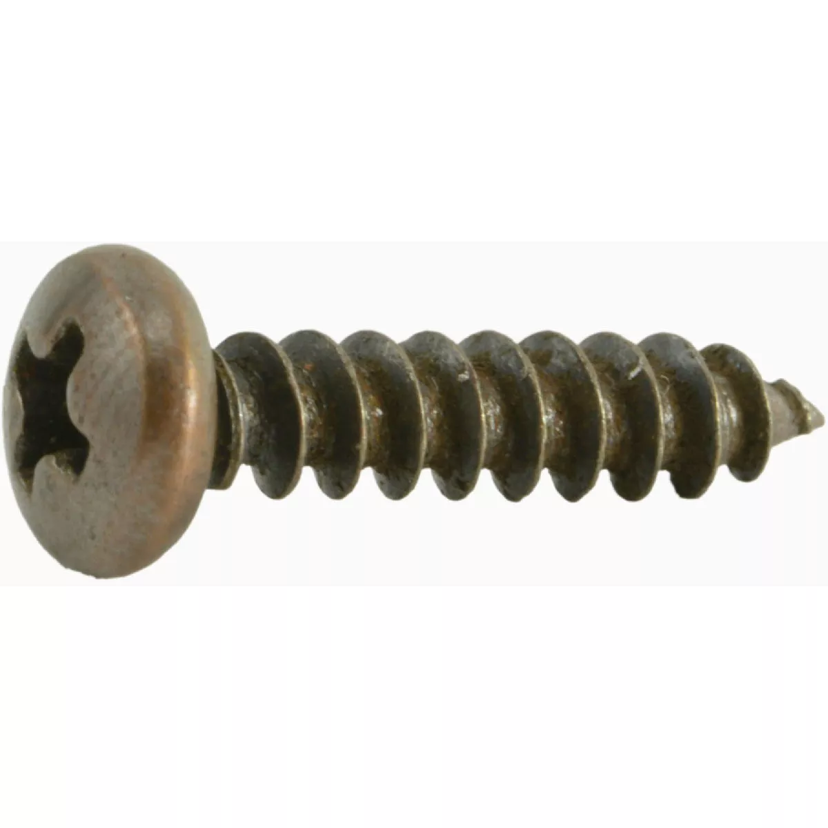 Midwest Fastener #8 x 5/8 In. Venetian Bronze Plated Steel Phillips Pan Head Sheet Metal Screws