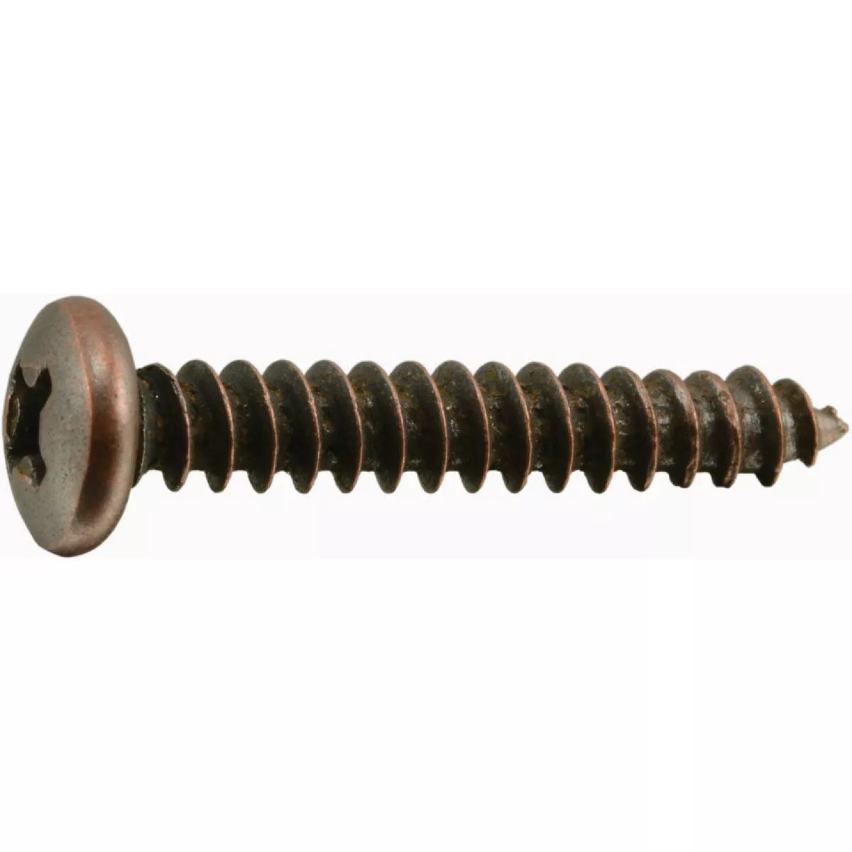 Midwest Fastener #8 x 1 In. Venetian Bronze Plated Steel Phillips Pan ...