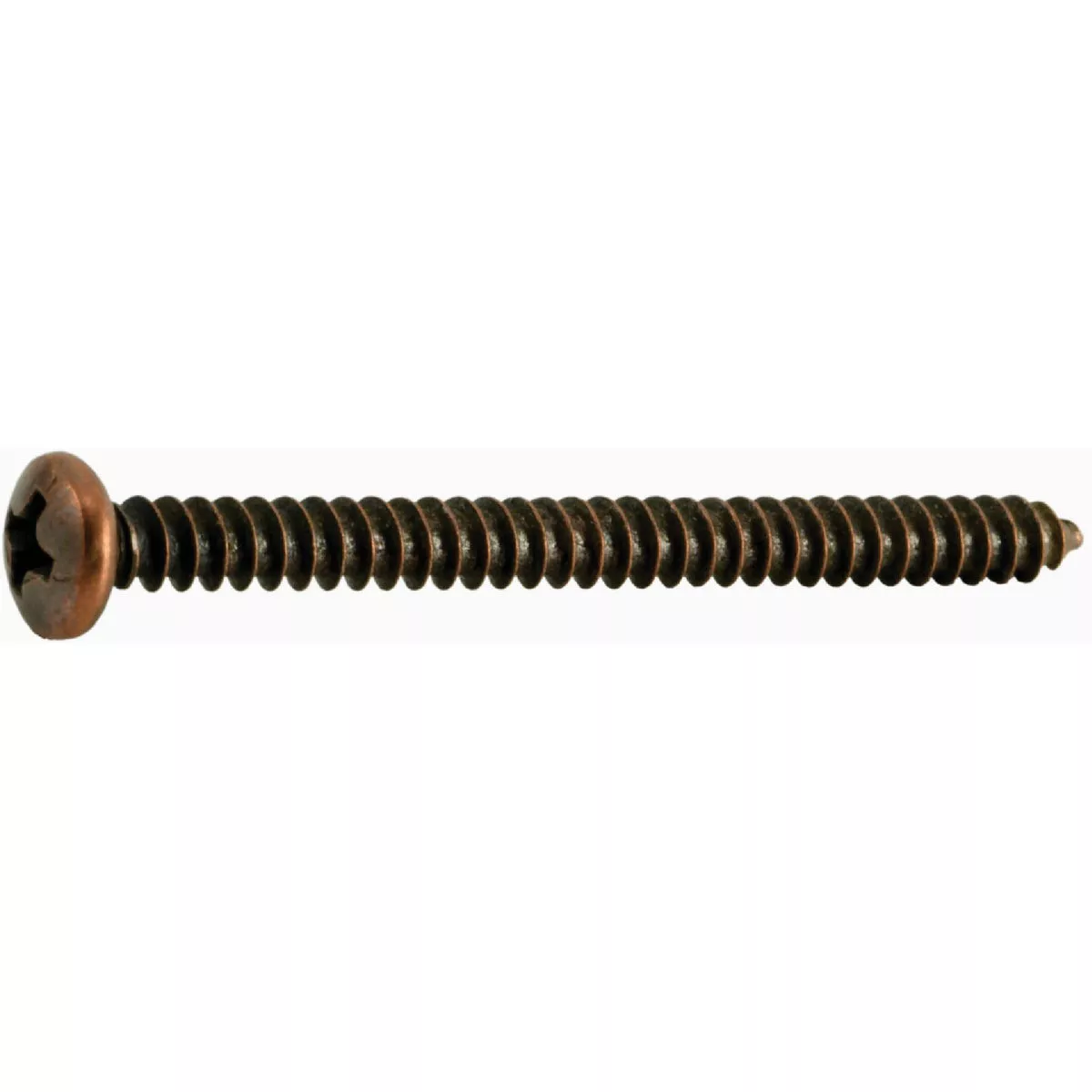 Midwest Fastener #8 x 2 In. Venetian Bronze Plated Steel Phillips Pan Head Sheet Metal Screws (25 Ct.)