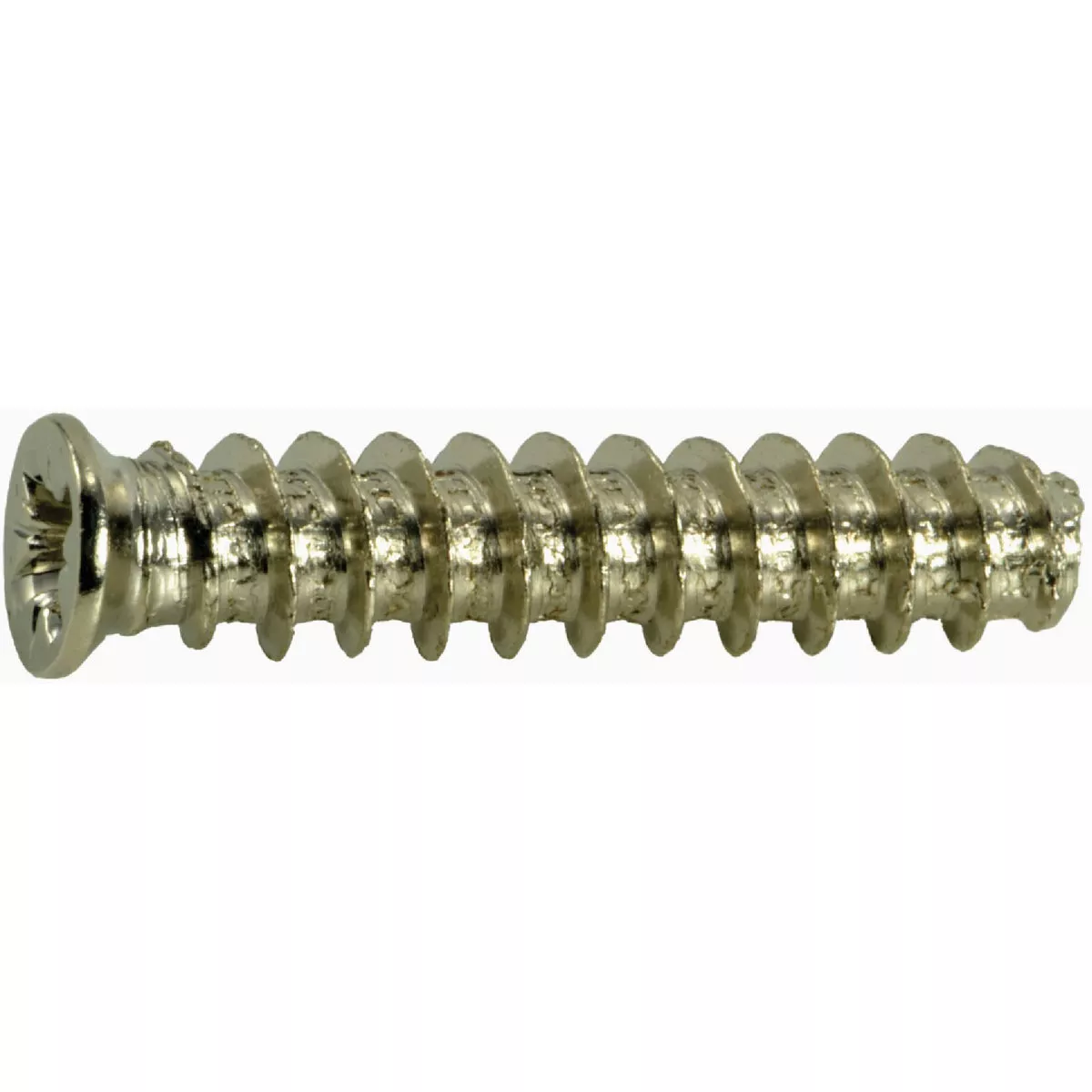 Midwest Fastener 6.3mm x 30mm Nickel Plated Steel Phillips Pozidriv Flat Head Euro Screws (12 Ct.)