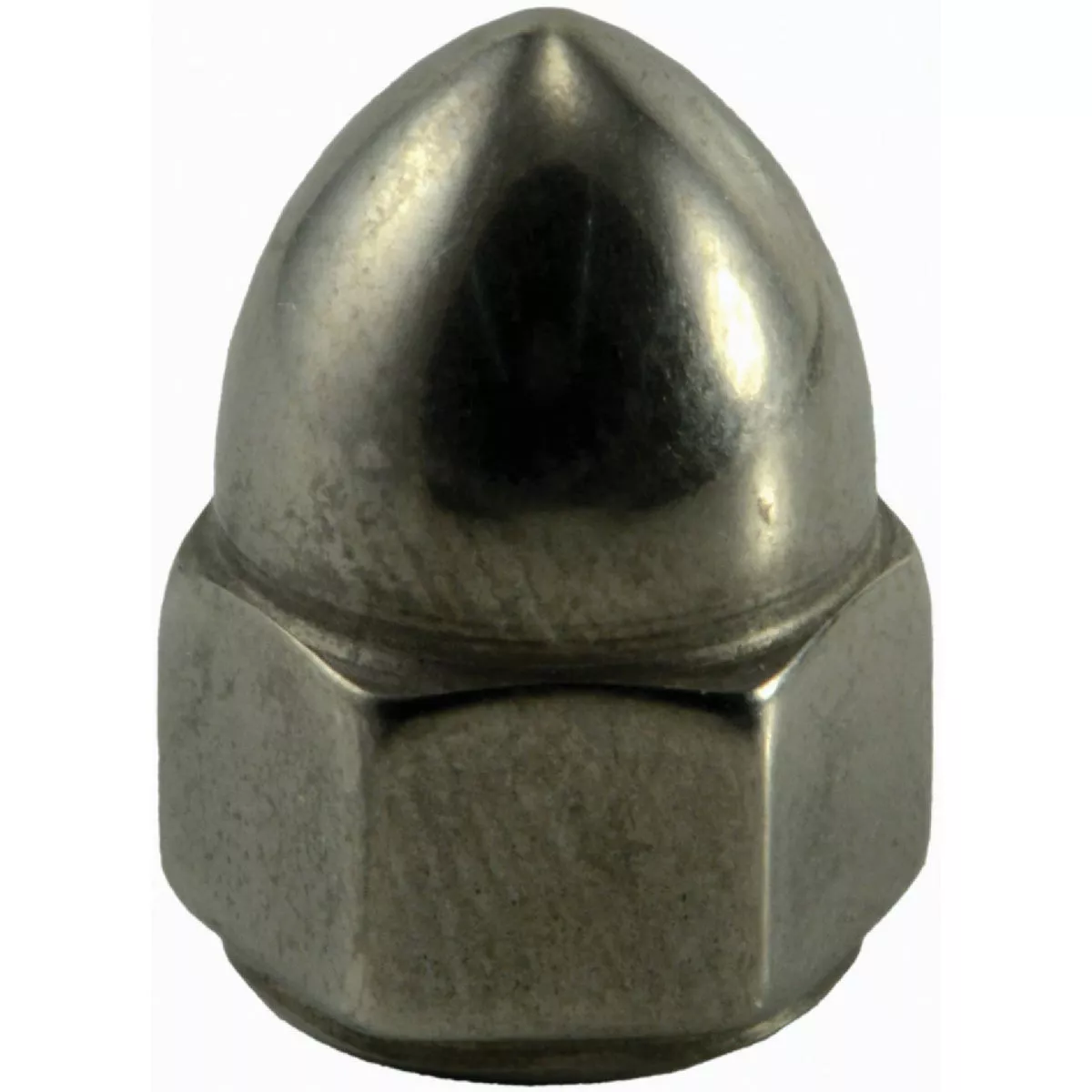 Midwest Fastener 5/16 In.-18 18-8 Stainless Steel Coarse Thread High Crown Acorn Cap Nuts (8 Ct.)