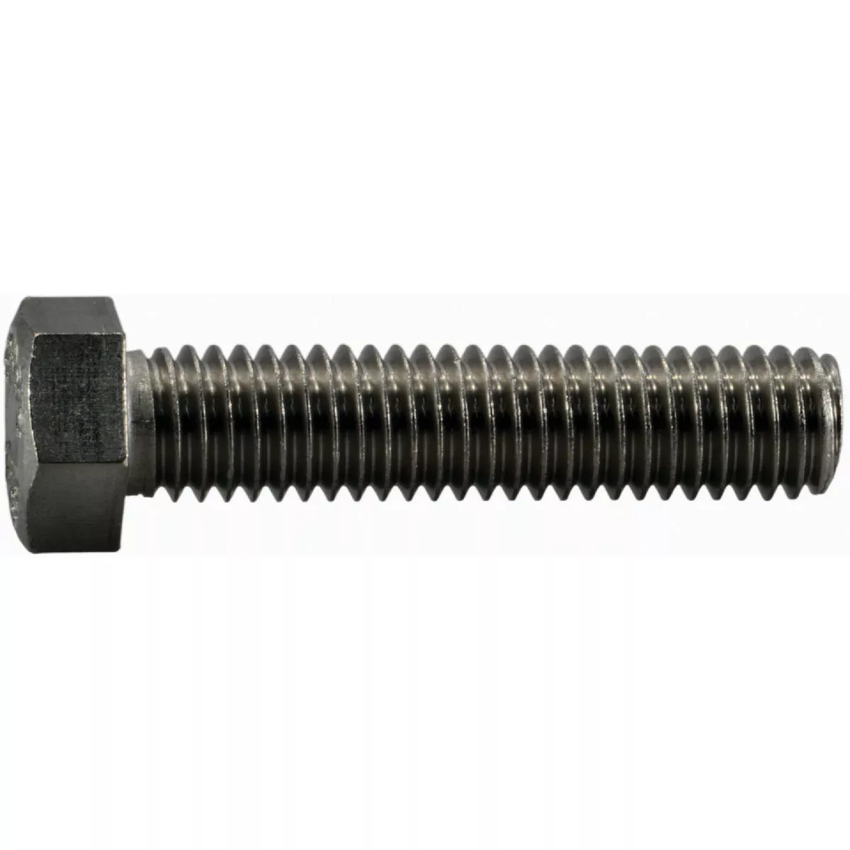 Midwest Fastener 7/16 In.-14 x 2 In. 18-8 Stainless Steel Coarse Full Thread Hex Head Tap Bolts (4 Ct.)