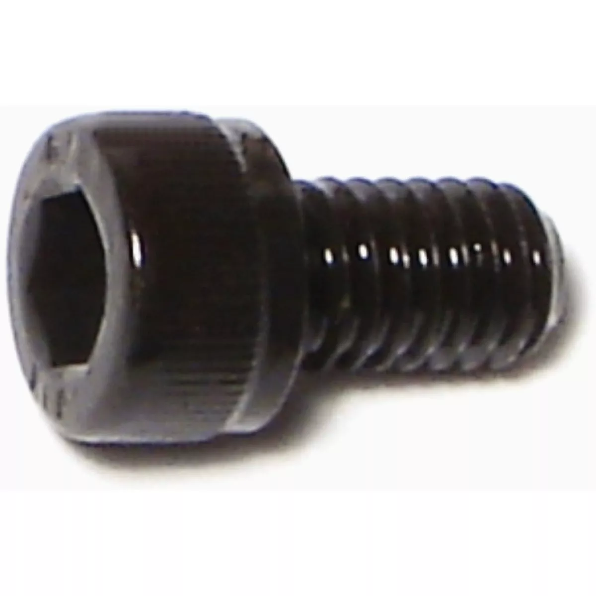 Midwest Fastener 6mm-1.0 x 10mm Black Oxide Class 12.9 Steel Coarse Thread Knurled Head Hex Socket Cap Screws (50 Ct.)