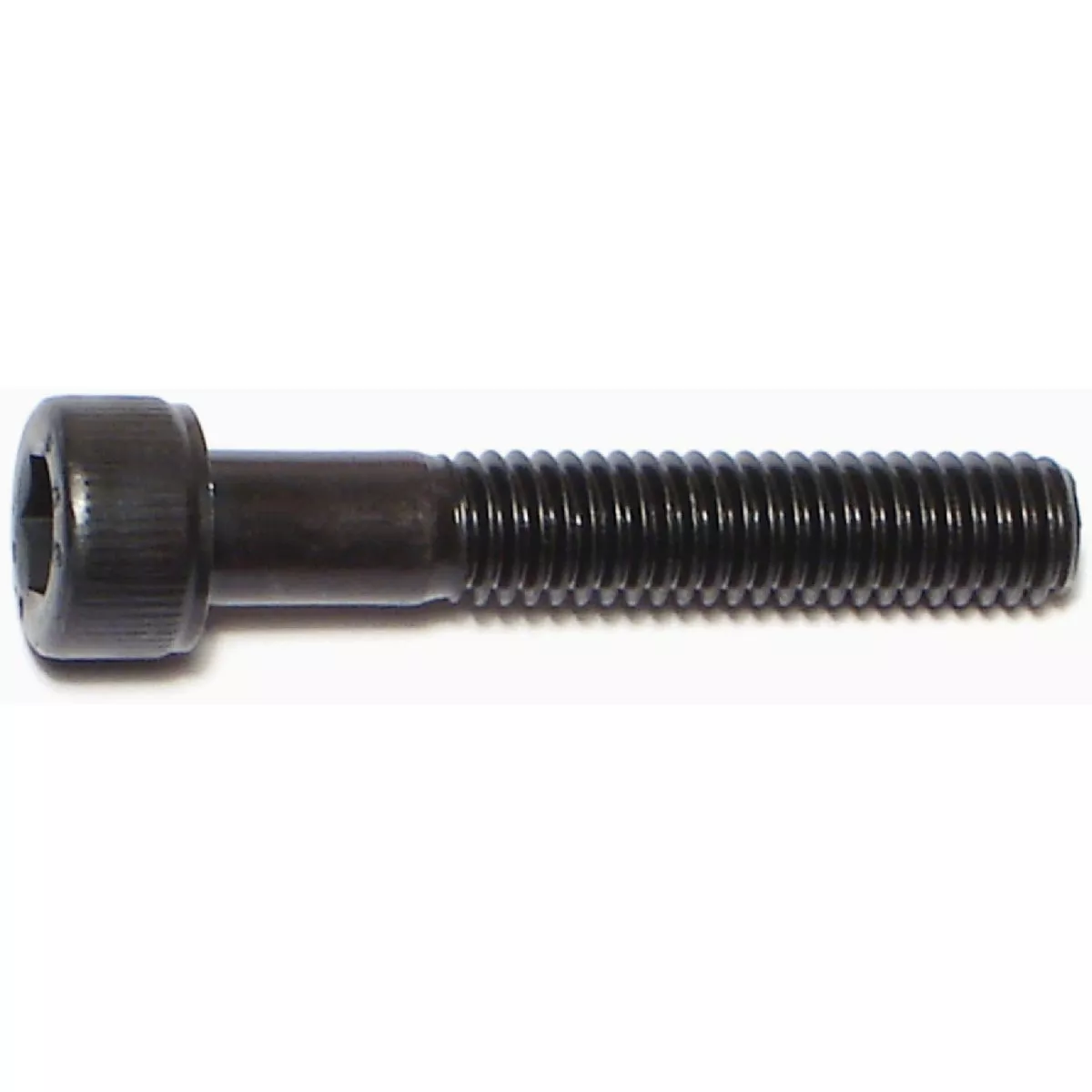 Midwest Fastener 6mm-1.0 x 35mm Black Oxide Class 12.9 Steel Coarse Thread Knurled Head Hex Socket Cap Screws (50 Ct.)