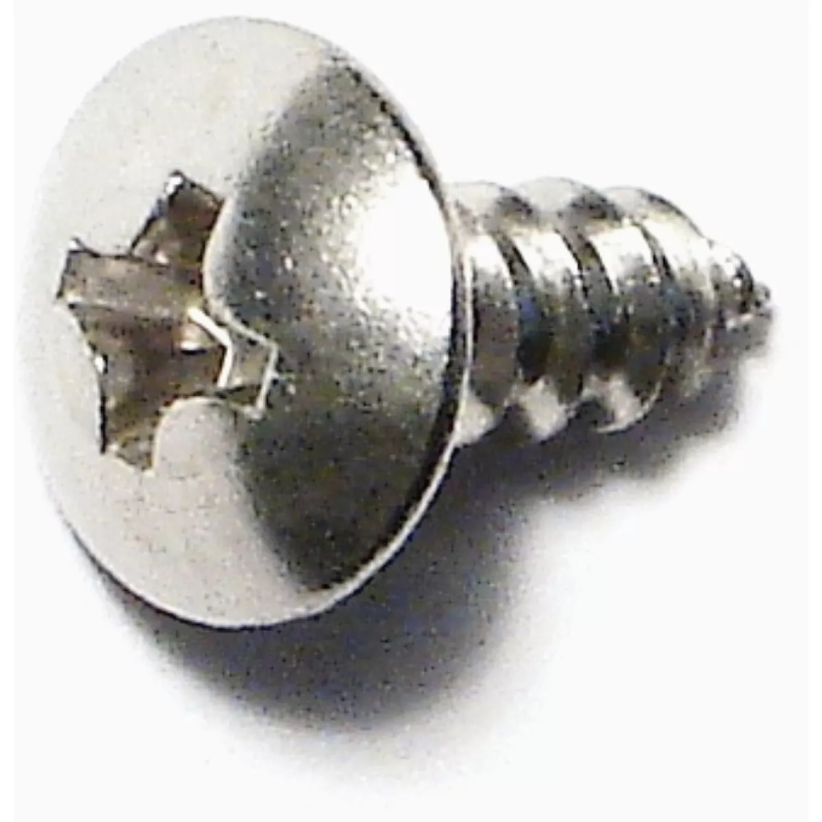 Midwest Fastener #6 x 3/8 In. 18-8 Stainless Steel Phillips Truss Head Sheet Metal Screws