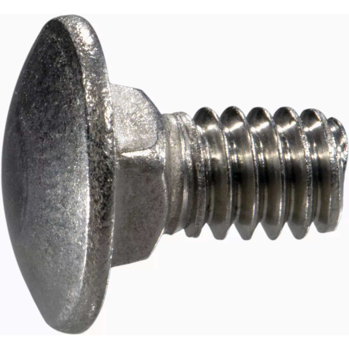Midwest Fastener 1/4 In.-20 In. x 1/2 In. 18-8 Stainless Steel Coarse Thread Carriage Bolt (50 Ct.)-