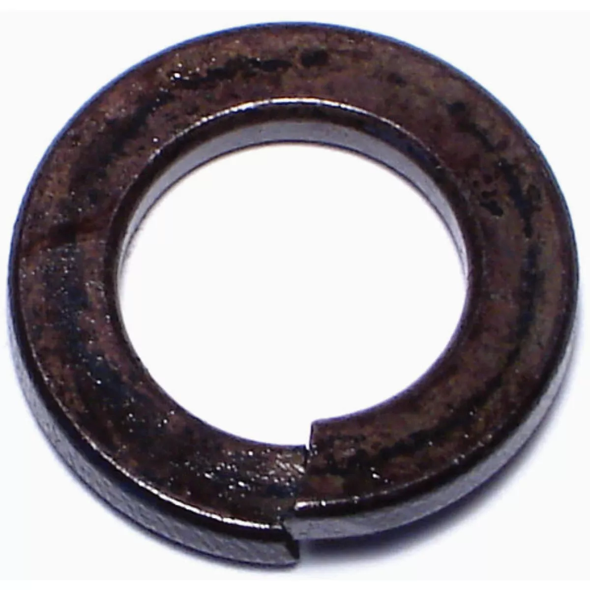 Midwest Fastener 12mm x 21mm Plain Class 10 Steel Lock Washers