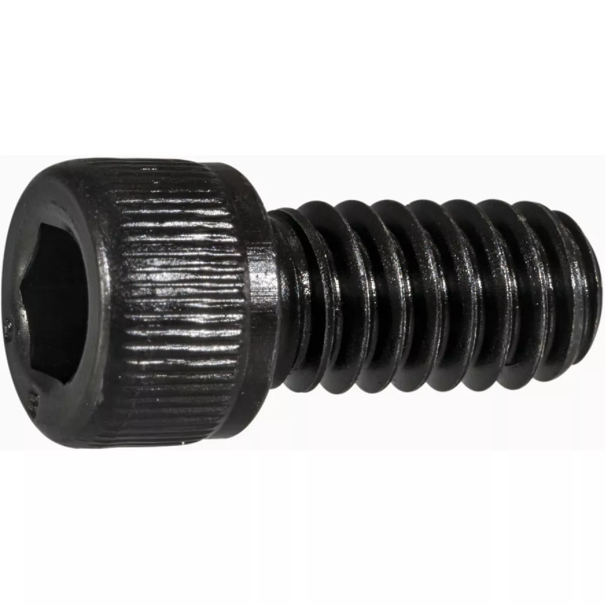 Midwest Fastener 1/4 In.-20 x 1/2 In. Plain Steel Coarse Thread Socket Cap Screws (12 Ct.)