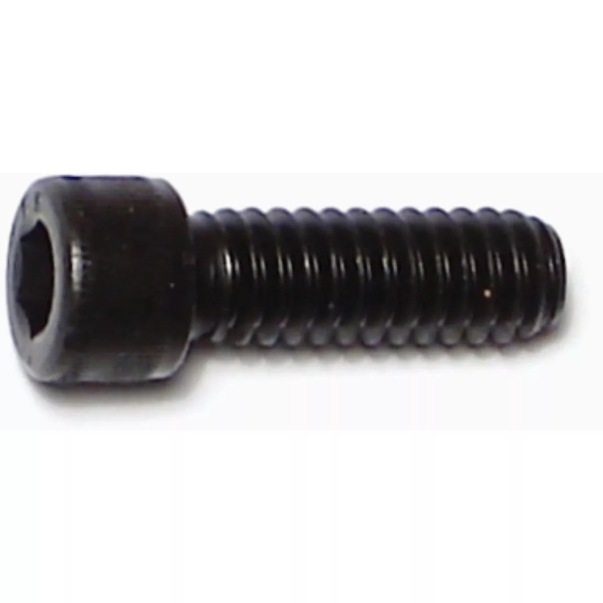 Midwest Fastener 1/4 In.-20 x 3/4 In. Plain Steel Coarse Thread Socket Cap Screws (12 Ct.)