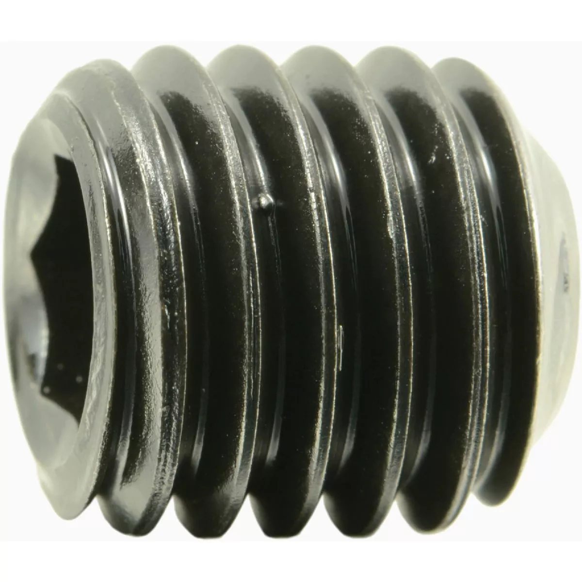 Midwest Fastener 1/2 In.-13 x 1/2 In. Steel Coarse Thread Hex Socket Headless Set Screws (8 Ct.)