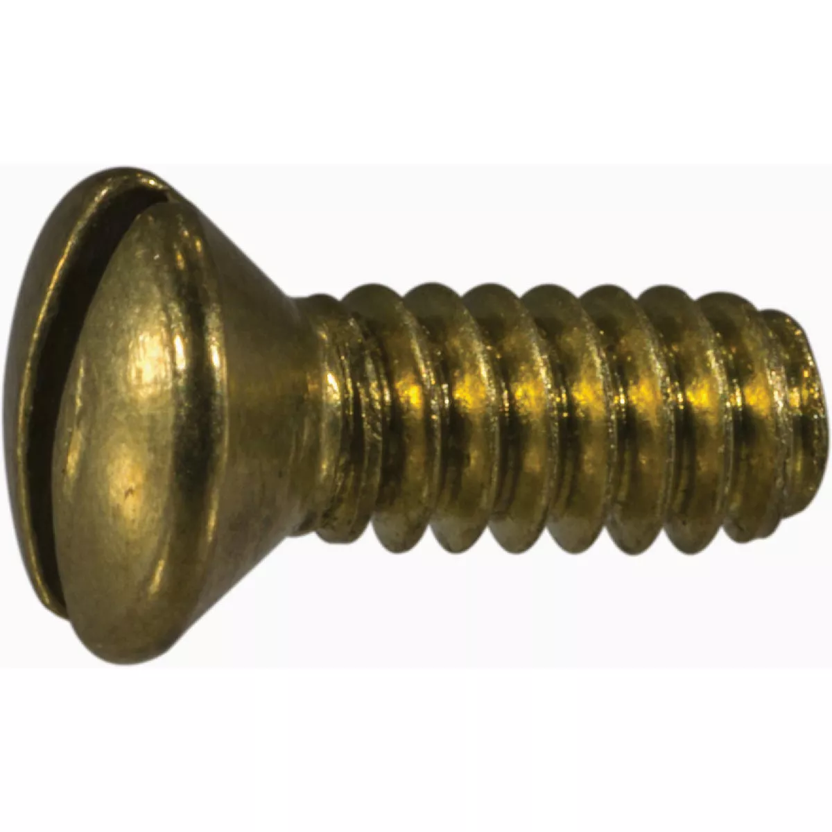 Midwest Fastener #6-32 x 3/8 In. Brass Coarse Thread Slotted Oval Head Machine Screws (48 Ct.)-