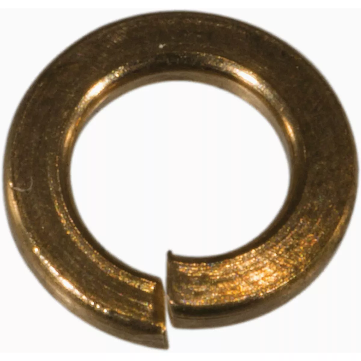 Midwest Fastener #6 x 1/8 In. x 1/4 In. Bronze Split Lock Washers (50 Ct.)