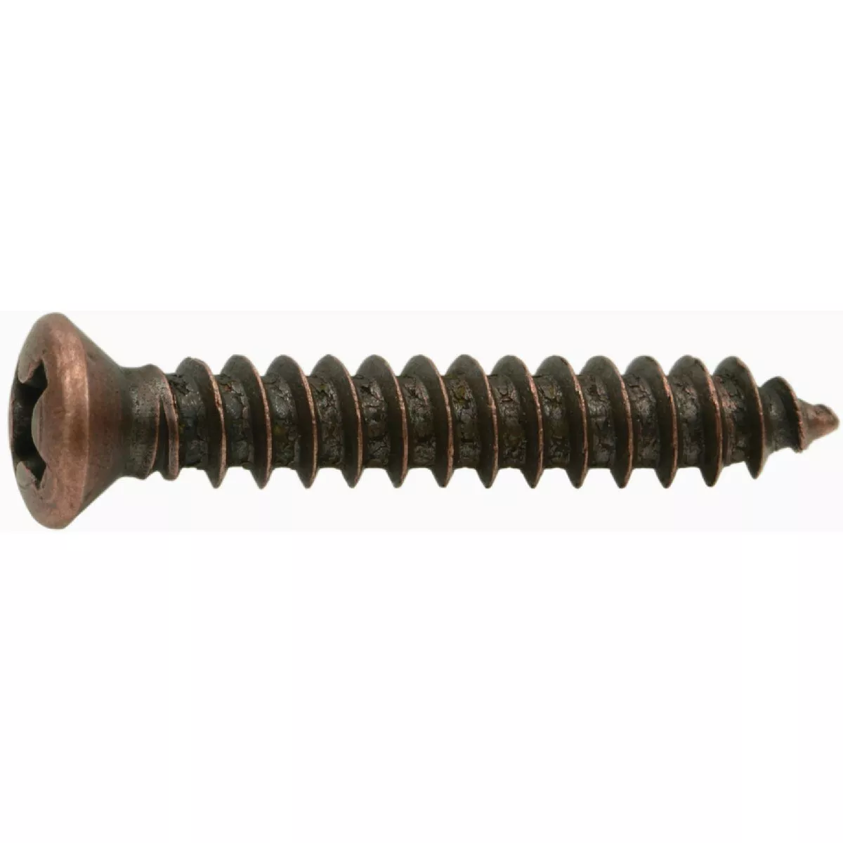 Midwest Fastener #8 x 1 In. Steel Phillips Oval Head Decorative Sheet Metal Screws (30 Ct.)