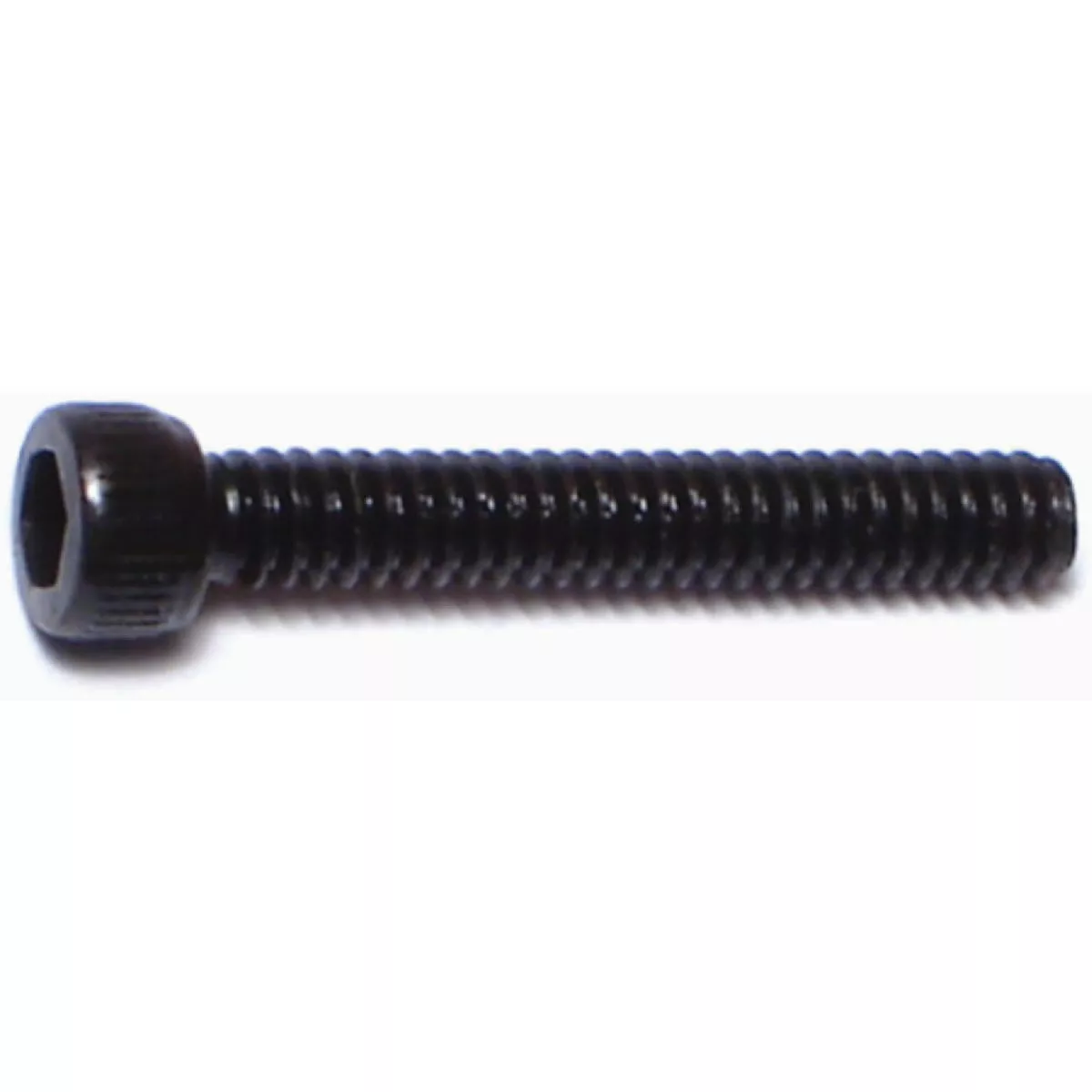 Midwest Fastener #4-40 x 3/4 In. Plain Steel Coarse Thread Socket Cap Screws (20 Ct.)
