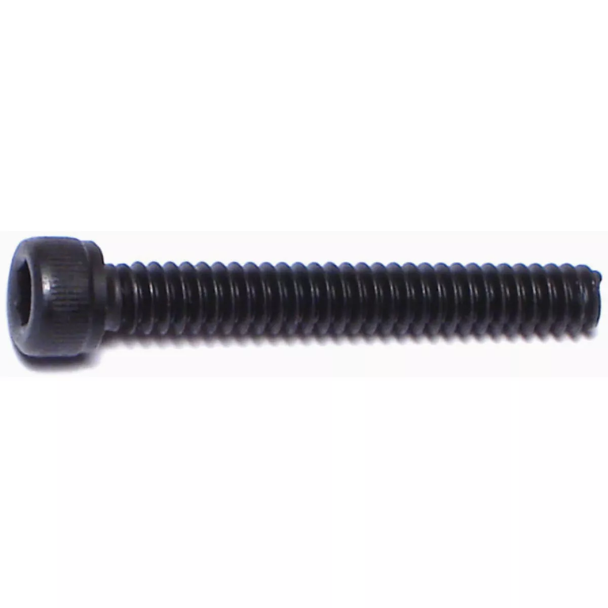 Midwest Fastener #6-32 x 1 In. Plain Steel Coarse Thread Socket Cap Screws (20 Ct.)