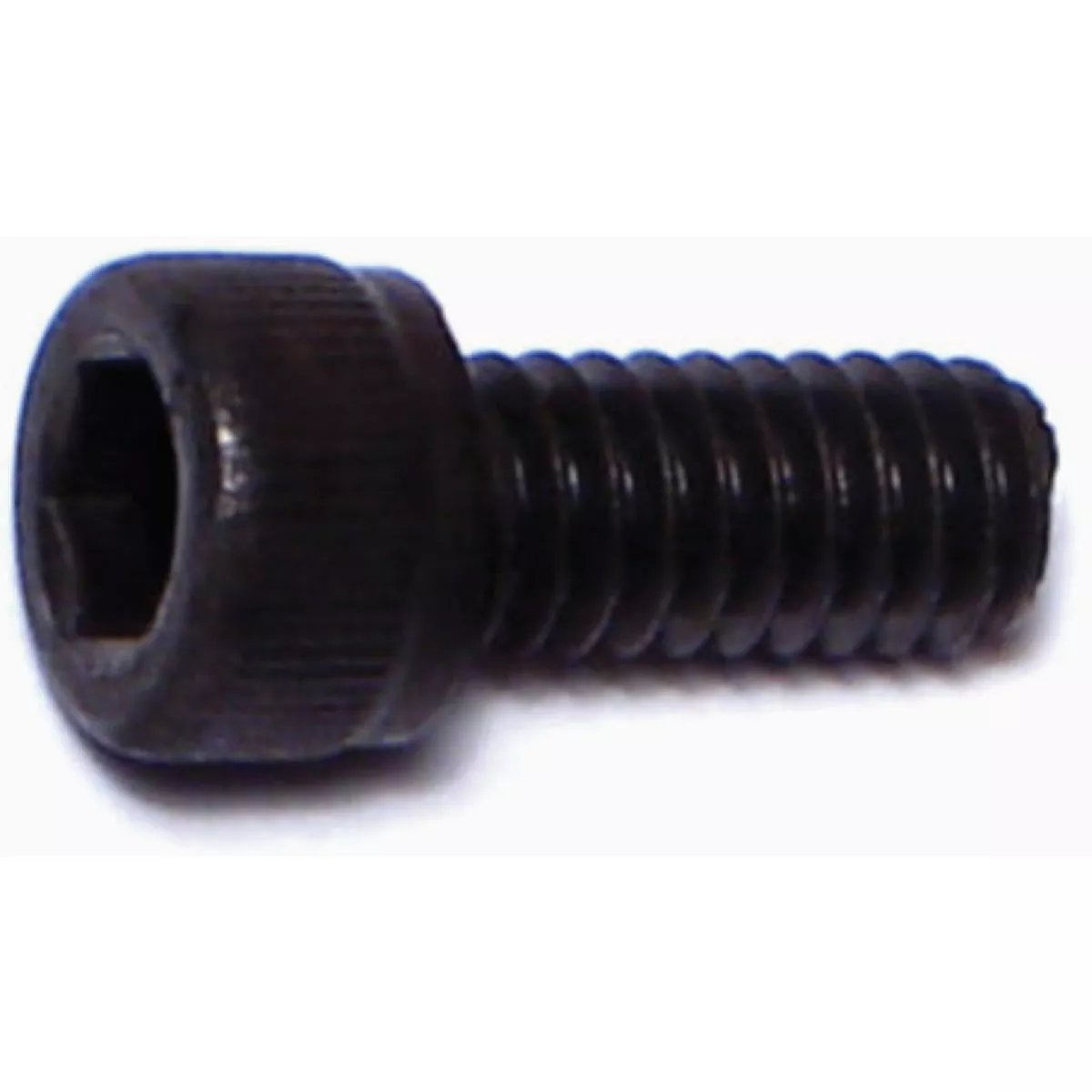 Midwest Fastener #8-32 x 3/8 In. Plain Steel Coarse Thread Socket Cap Screws (20 Ct.)-