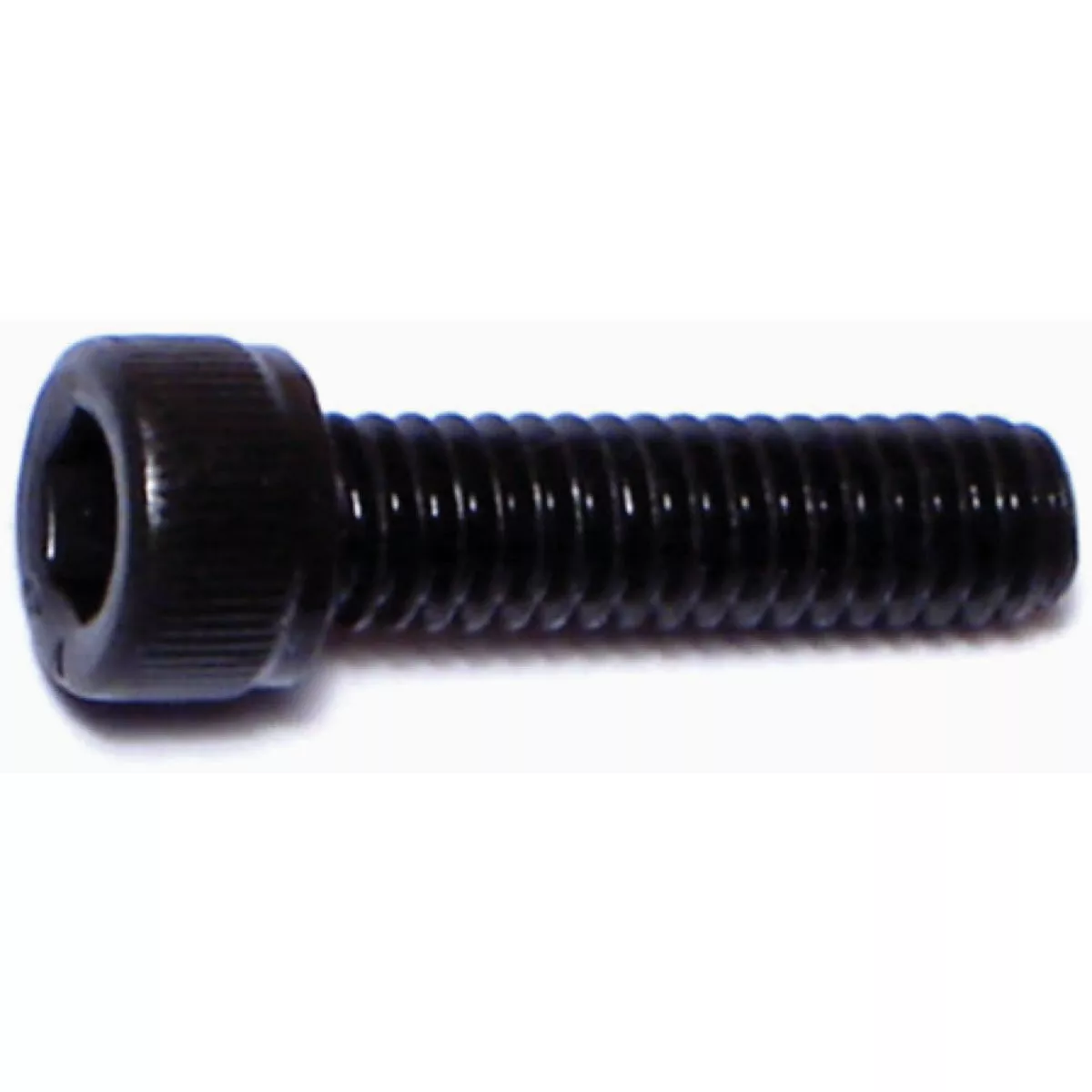 Midwest Fastener #8-32 x 5/8 In. Plain Steel Coarse Thread Socket Cap Screws (20 Ct.)