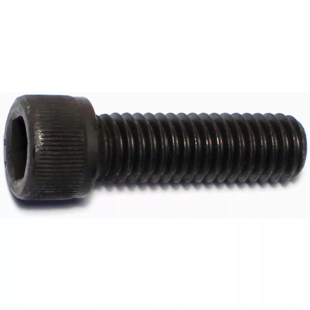 Midwest Fastener 3/8 In.-16 x 1-1/4 In. Plain Steel Coarse Thread Socket Cap Screws (6 Ct.)