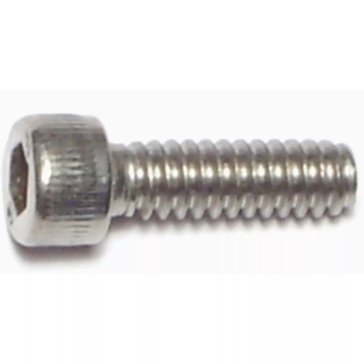 Midwest Fastener #10-24 x 5/8 In. 18-8 Stainless Steel Coarse Thread Socket Cap Screws (10 Ct.)