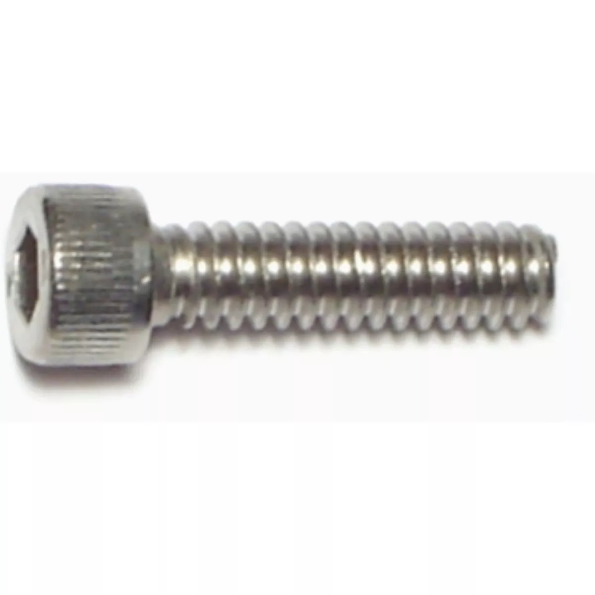 Midwest Fastener #10-24 x 3/4 In. 18-8 Stainless Steel Coarse Thread Socket Cap Screws (10 Ct.)