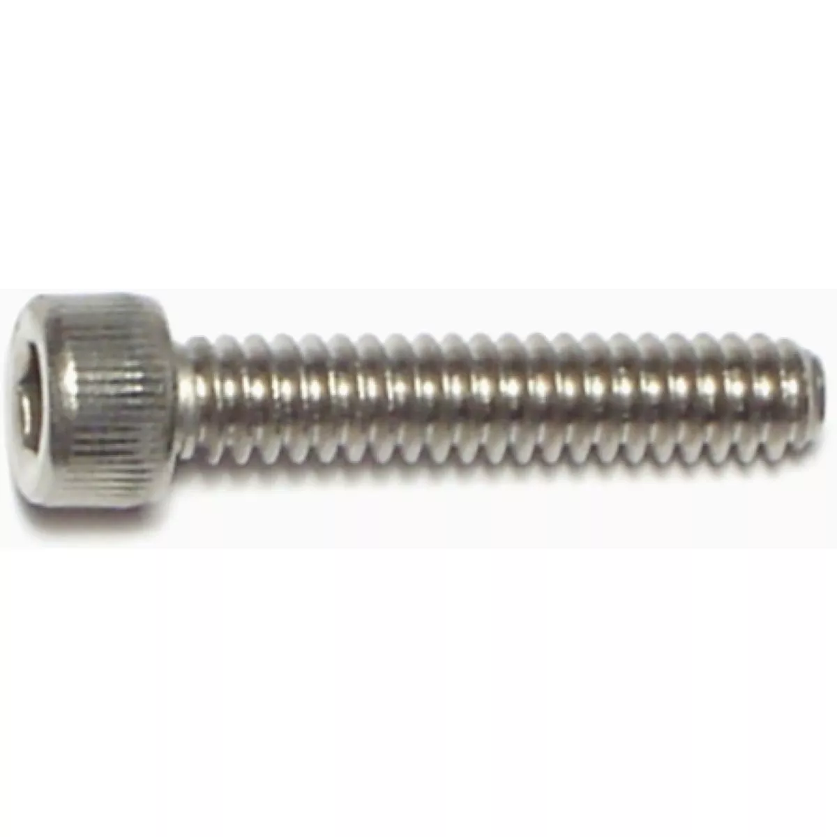 Midwest Fastener #10-24 x 1 In. 18-8 Stainless Steel Coarse Thread Socket Cap Screws (10 Ct.)