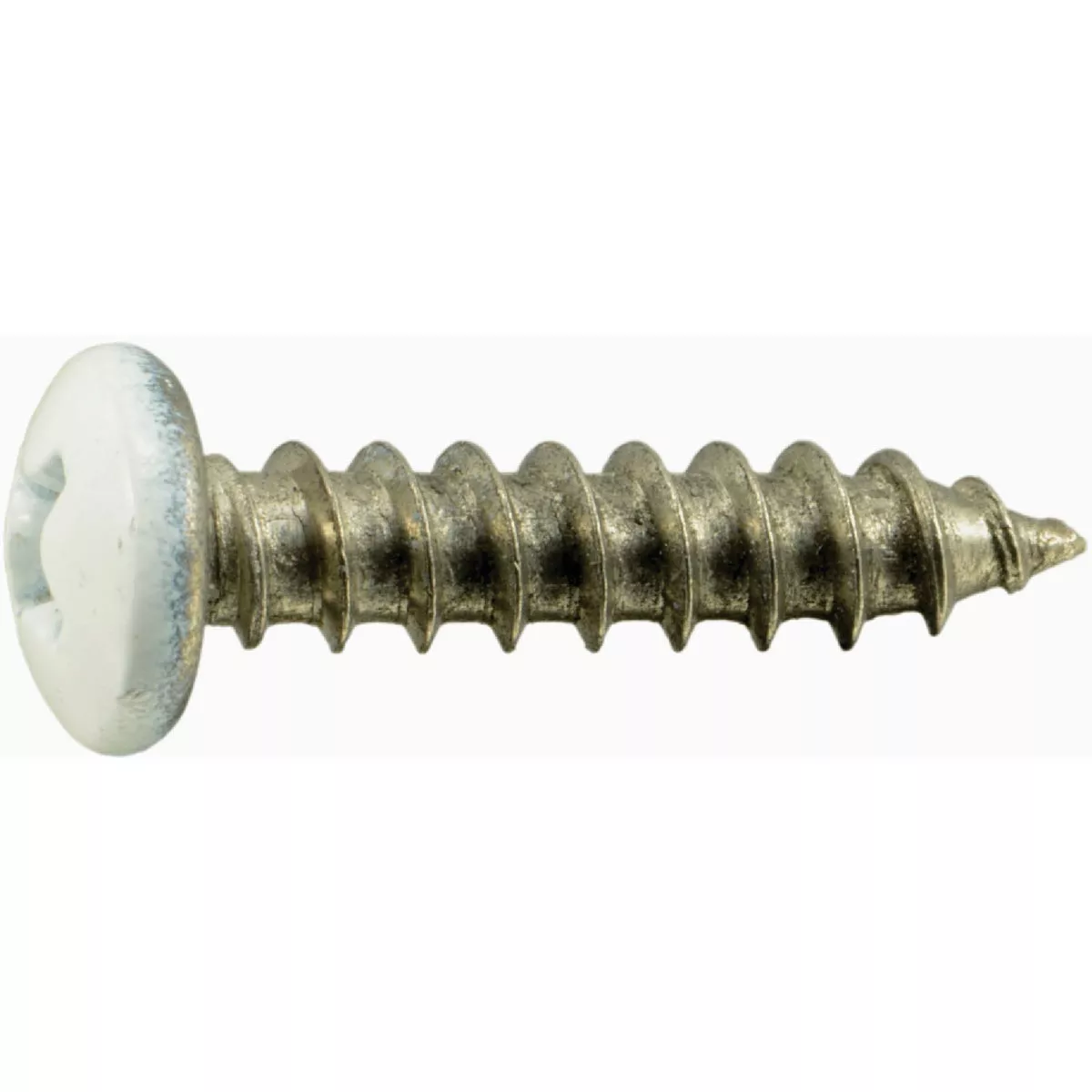 Midwest Fastener #8 x 3/4 In. White Painted 18-8 Stainless Steel Phillips Pan Head Sheet Metal Screws (20 Ct.)