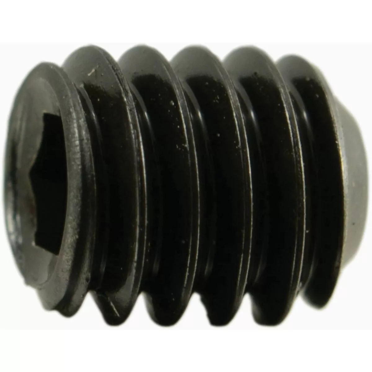 Midwest Fastener #8-32 x 3/16 In. Steel Coarse Thread Hex Socket Headless Set Screws (25 Ct.)