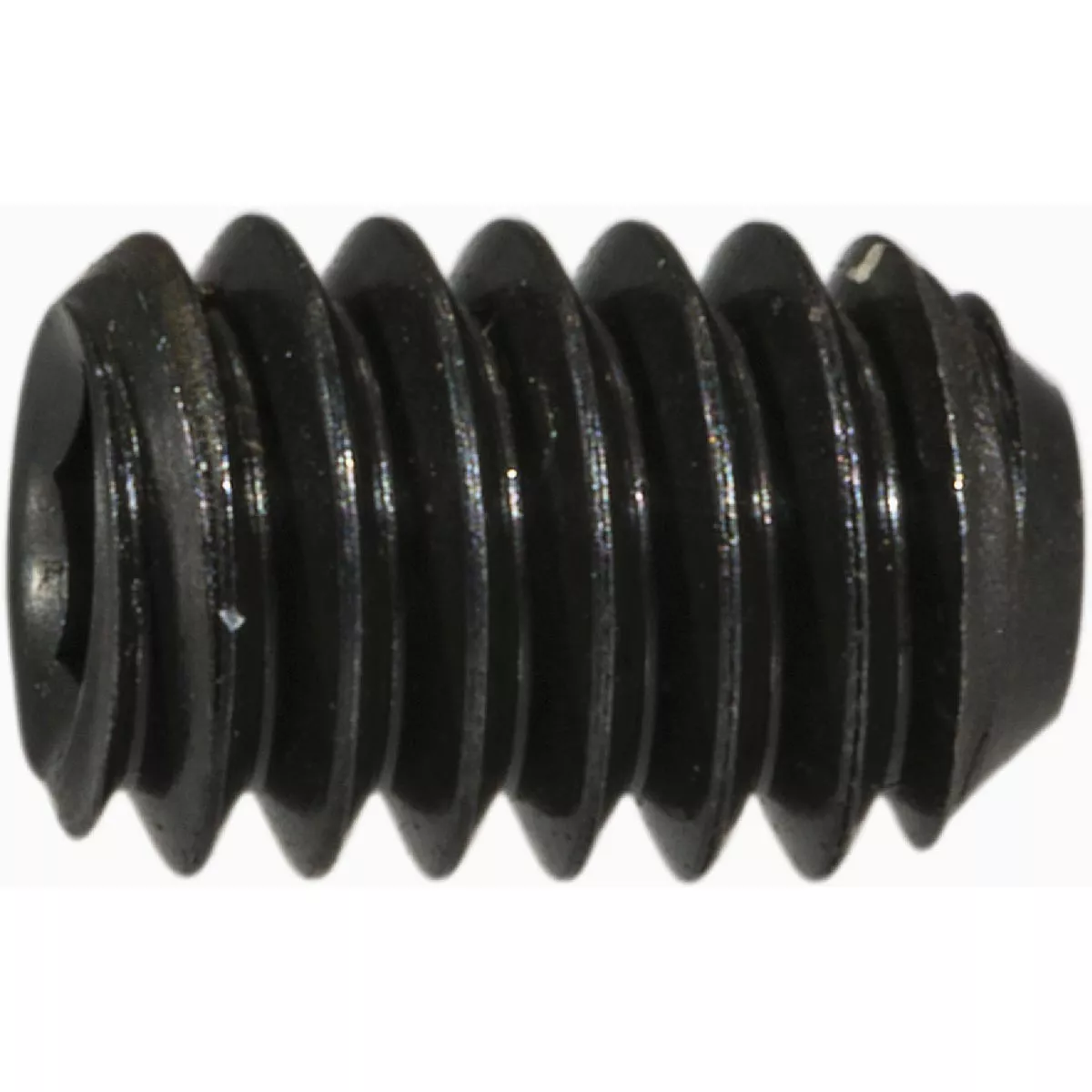 Midwest Fastener #8-32 x 1/4 In. Steel Coarse Thread Hex Socket Headless Set Screws