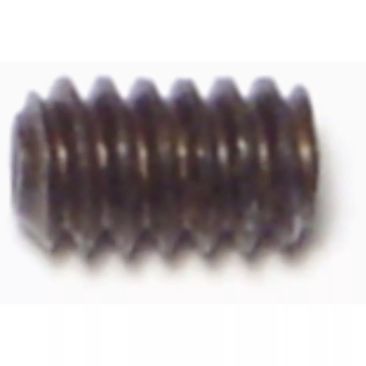 Midwest Fastener #10-24 x 5/16 In. Steel Coarse Thread Hex Socket Headless Set Screws