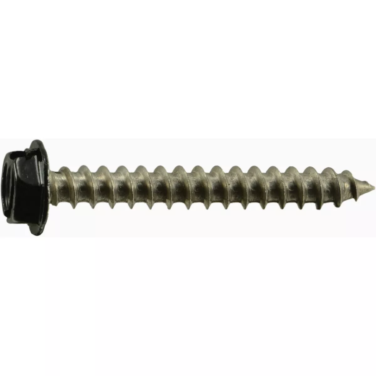 Midwest Fastener #10 x 1-1/2 In. Black Painted 18-8 Stainless Steel Hex Washer Head Sheet Metal Screws (12 Ct.)