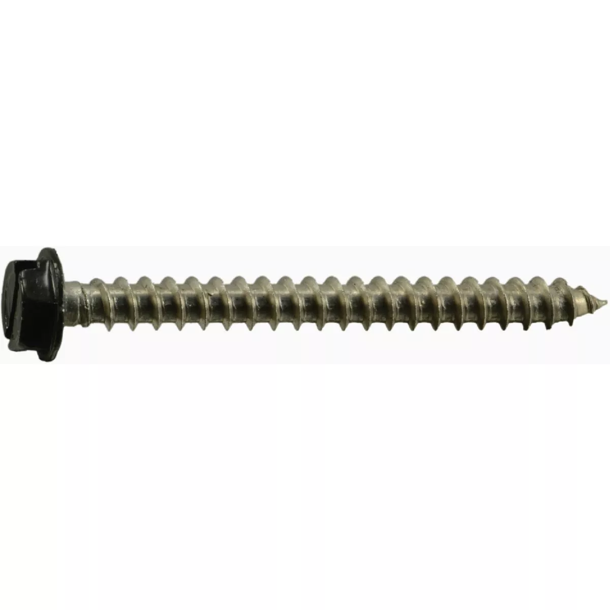 Midwest Fastener #10 x 2 In. Black Painted 18-8 Stainless Steel Hex Washer Head Sheet Metal Screws (10 Ct.)