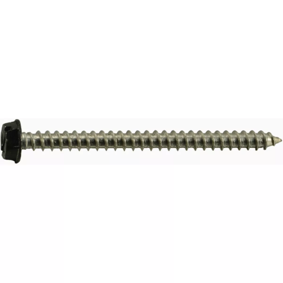 Midwest Fastener #10 x 2-1/2 In. Black Painted 18-8 Stainless Steel Hex Washer Head Sheet Metal Screws (8 Ct.)