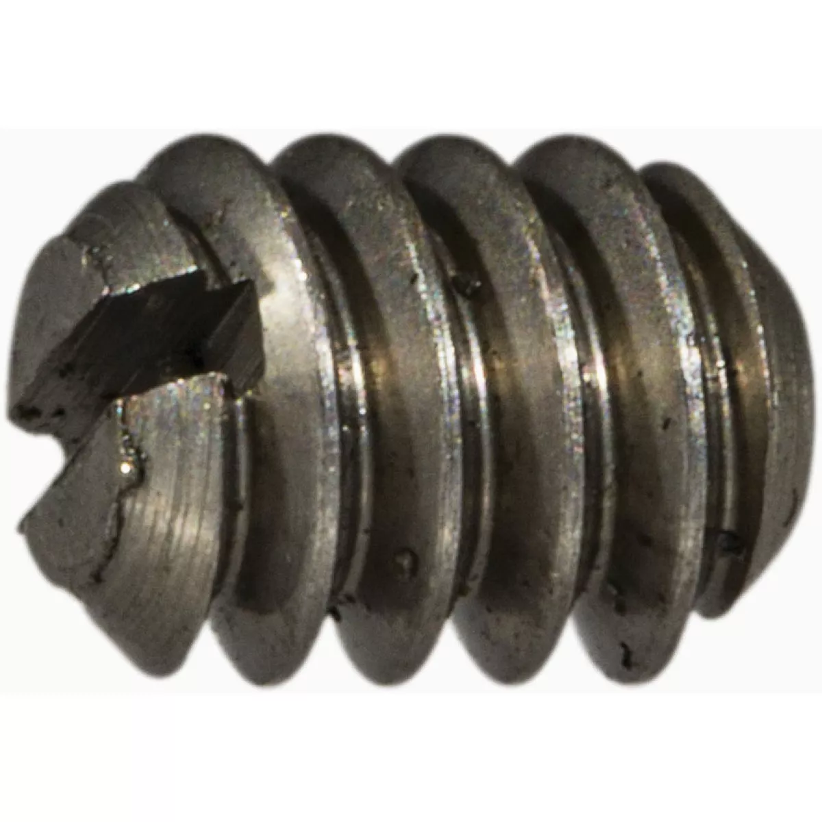 Midwest Fastener #6-32 x 3/16 In. Steel Coarse Thread Slotted Headless Set Screws (20 Ct.)-