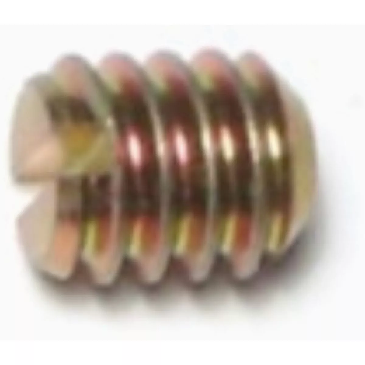 Midwest Fastener 1/4 In.-20 x 1/4 In. Steel Coarse Thread Slotted Headless Set Screws (20 Ct.)