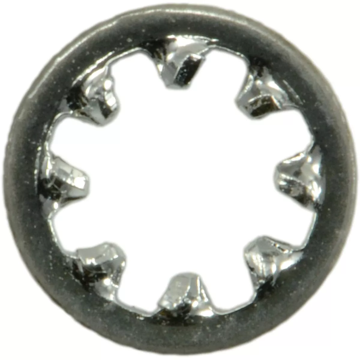 Midwest Fastener #6 x 9/64 In. x 19/64 In. Chrome Plated Grade 8 Steel Internal Tooth Lock Washers (10 Ct.)-