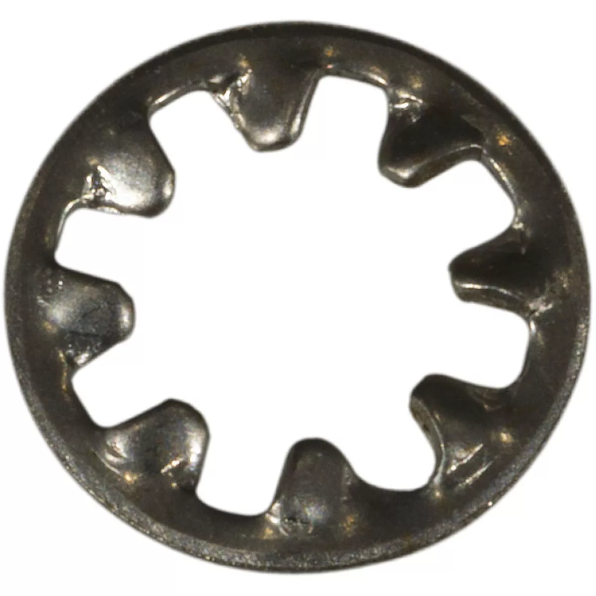 Midwest Fastener #10 x 3/16 In. x 27/64 In. 18-8 Stainless Steel ...