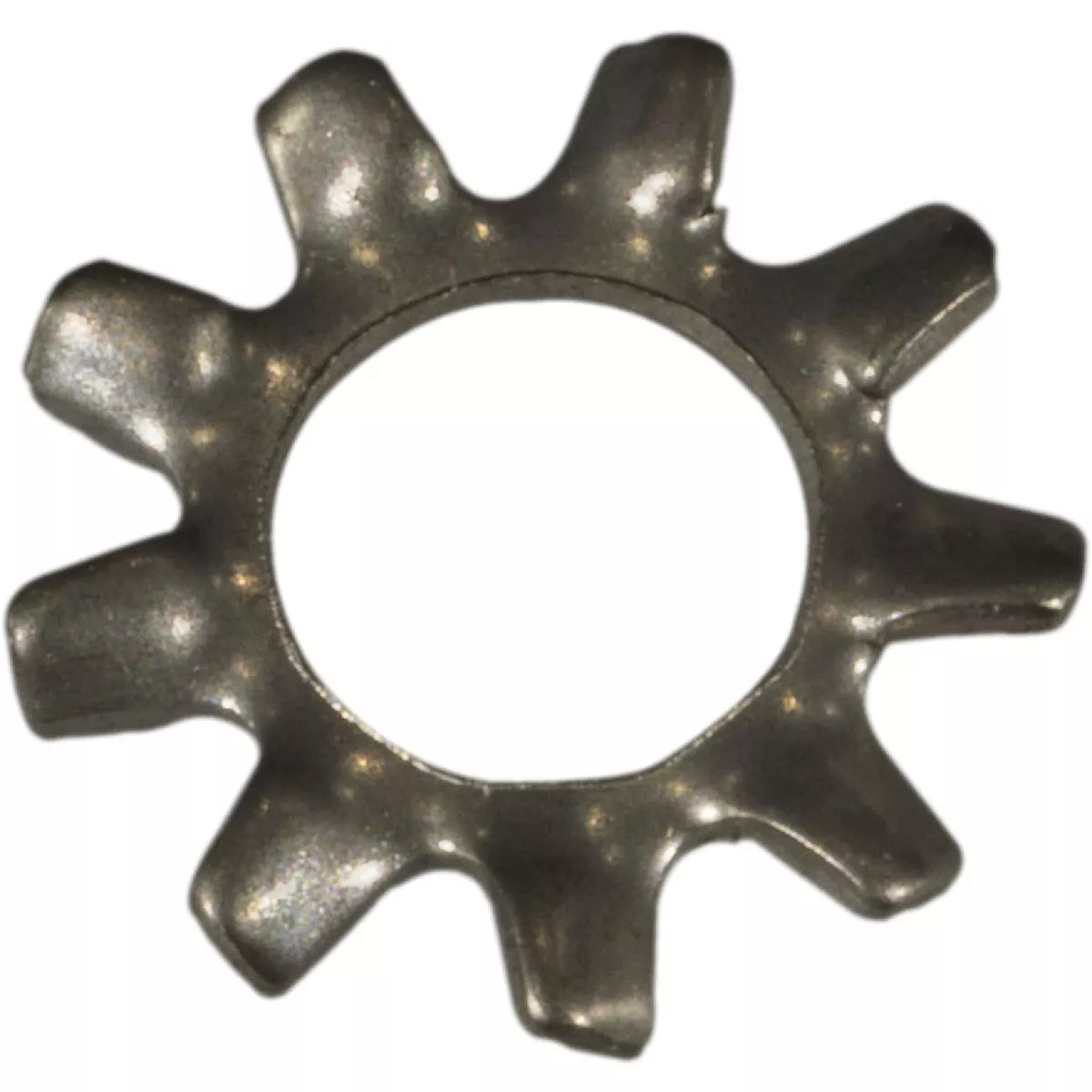 Midwest Fastener #10 x 3/16 In. x 13/32 In. 18-8 Stainless Steel External Tooth Lock Washers