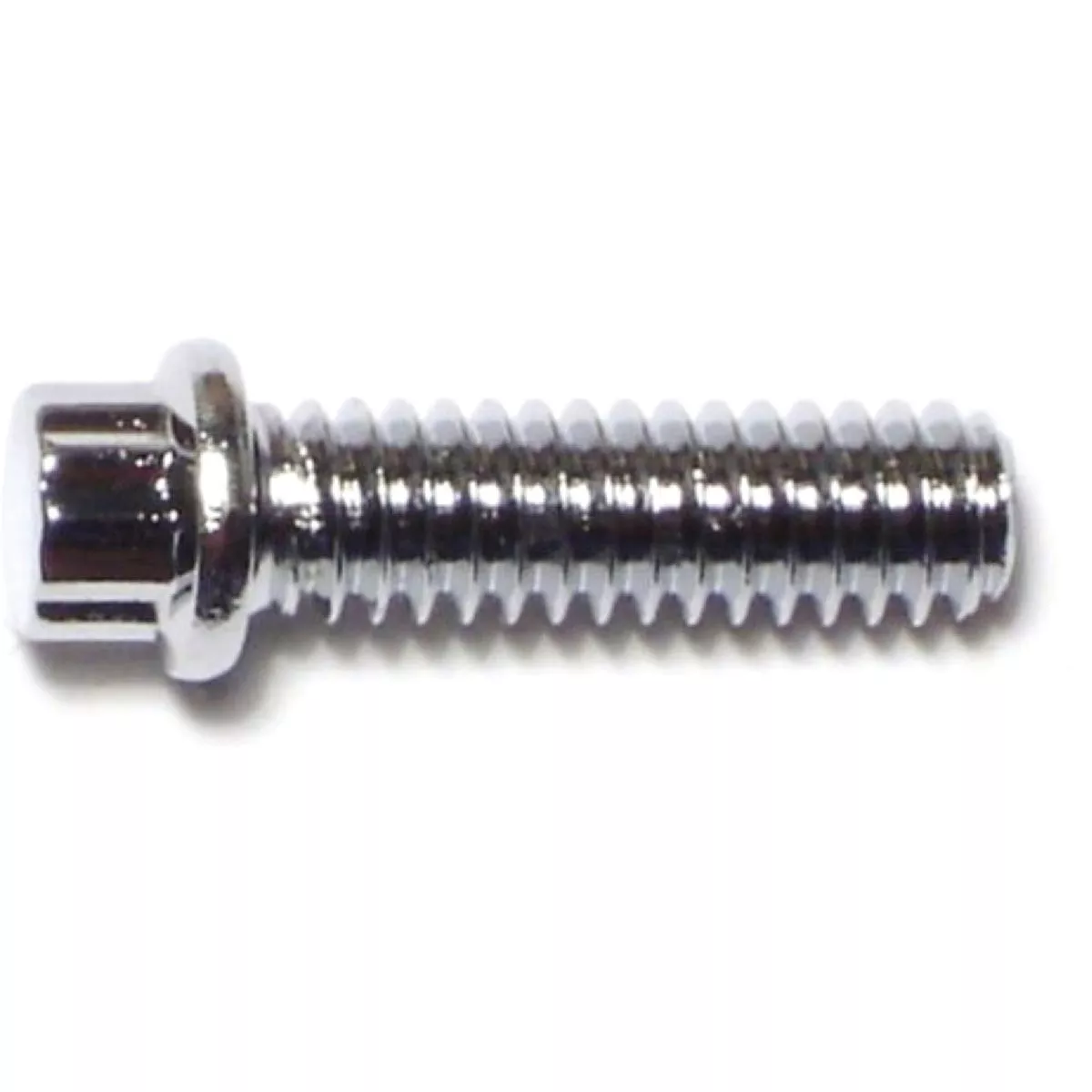 Midwest Fastener 1/4 In.-20 x 7/8 In. Chrome Plated Steel Coarse Thread Flange Head 12-Point Cap Screws (10 Ct.)-