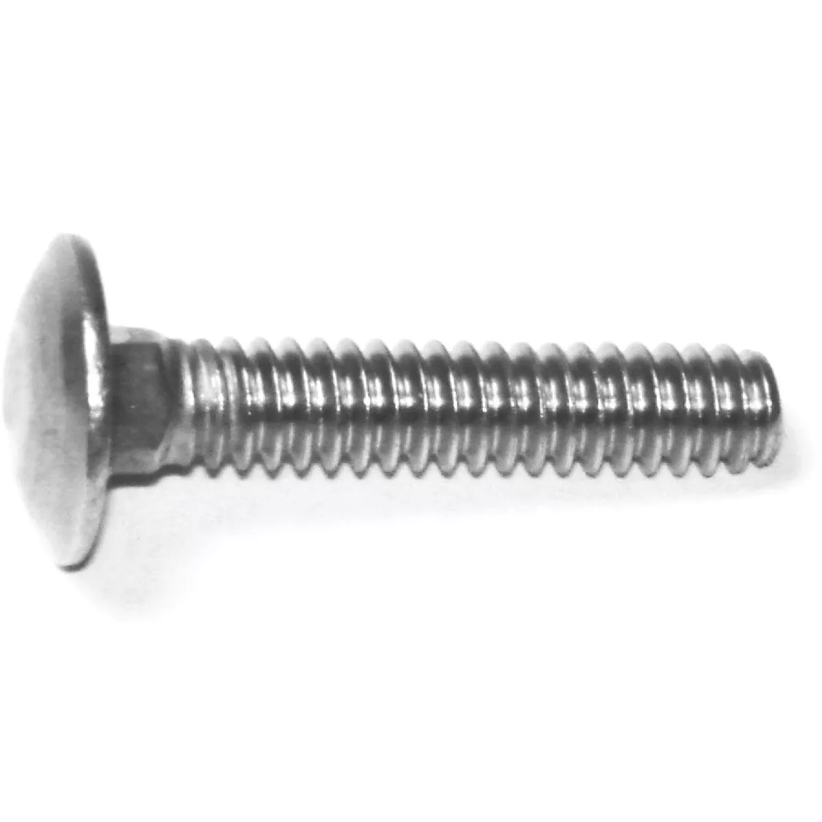 Midwest Fastener 3/16-24 x 1 In. 18-8 Stainless Steel Coarse Thread Carriage Bolt (10 Ct.)