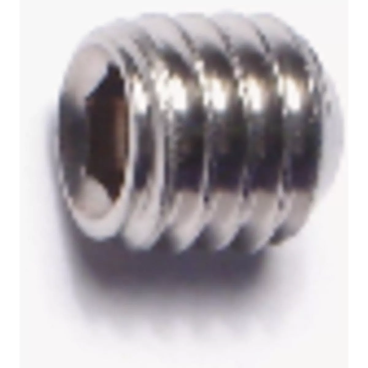 Midwest Fastener 3/8 In.-16 x 3/8 In. 18-8 Stainless Steel Coarse Thread Hex Socket Headless Set Screws (6 Ct.)