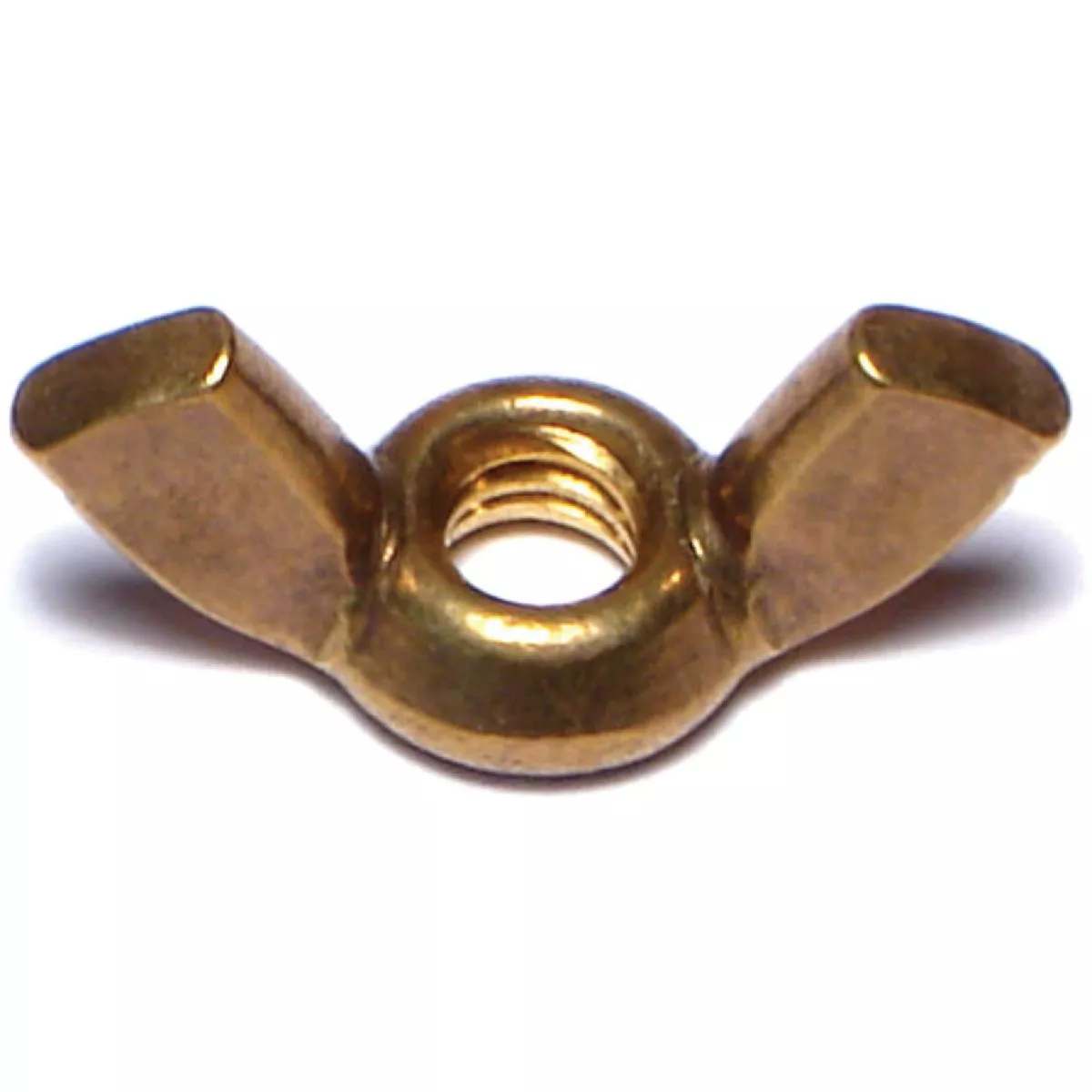 Midwest Fastener #10-24 x 23/32 In. Brass Coarse Thread Cold Forged Wing Nuts (10 Ct.)-